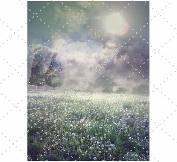 دانلود عکس کارت پستالی دشت گل و ابر